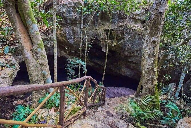 Private Cenote Experience, swim in the heart of the Mayan Jungle - Pricing and Value