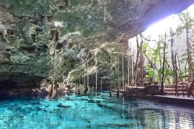 Private Cenote Experience, swim in the heart of the Mayan Jungle - Who Should Book This Tour?
