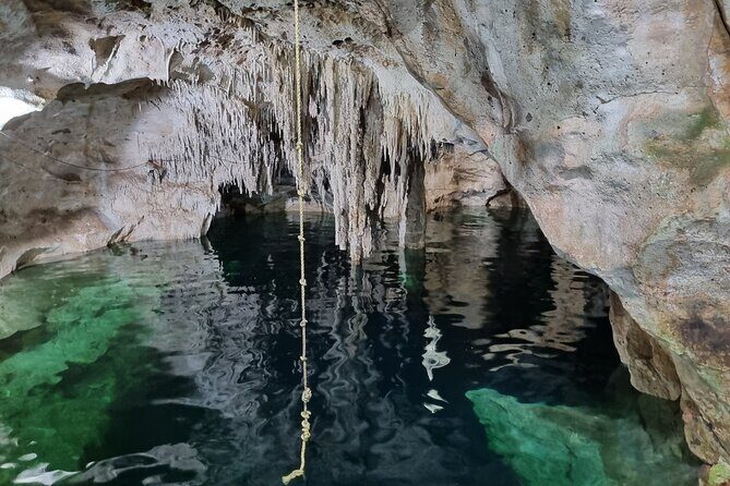 Private Cenote Hopping Tour  Adventure with a Local Vibe - Pricing and Value