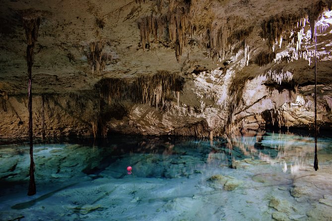 Private Cenote & Snorkeling Tour With Turtles in Akumal - Reviews and Testimonials