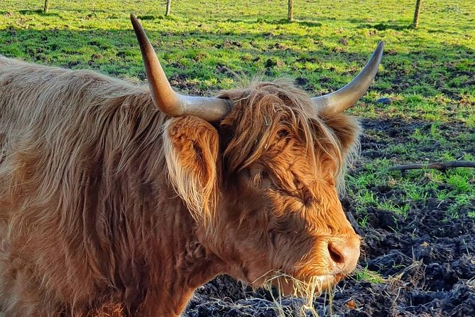 Private Central Highlands Driving Tour - Meeting and Pickup