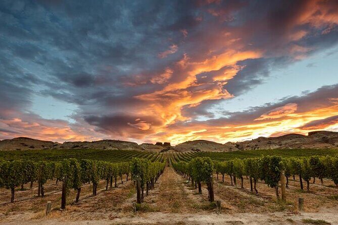 Private Central Otago Wine tasting Tour with Gourmet Lunch. - Final Summary