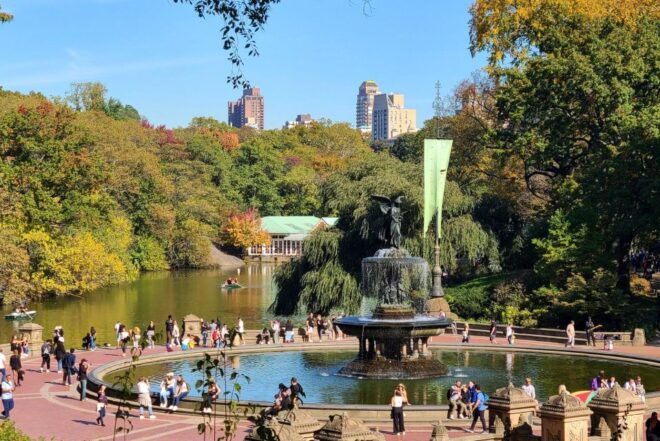 Private Central Park Bike Tour - Pricing and Availability