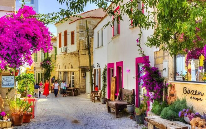 Private Çeşme Alaçatı Seferihisar Sıvacık Tour - Tour Features