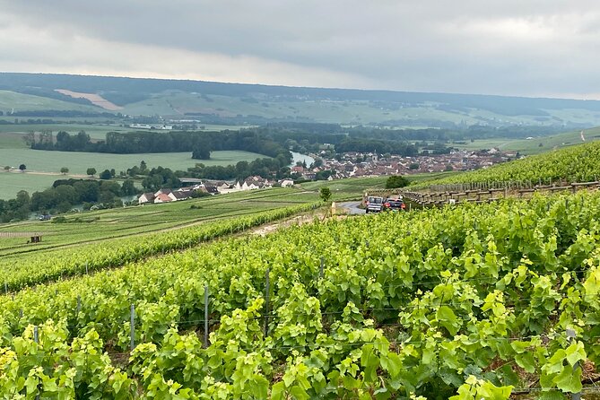 Private Champagne AYALA Since 1860, Moet & Chandon From Paris - Moet & Chandon: The Essence of Paris