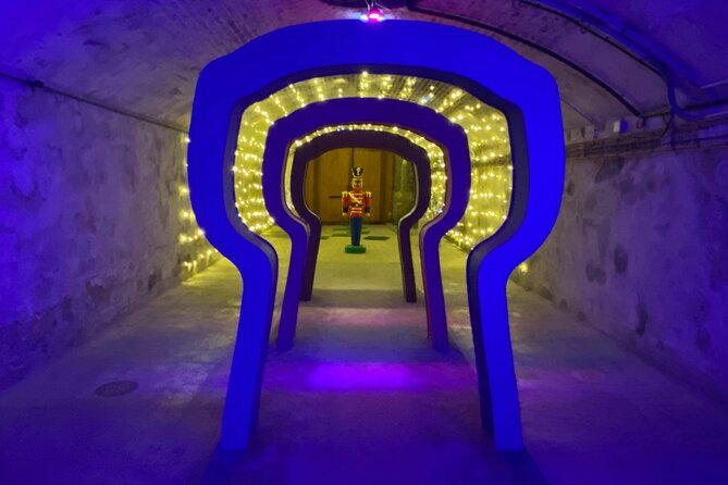 Private Champagne Boizel, Pommery Cellars Tastings Guided Tours - Age Restriction for Wine Tastings