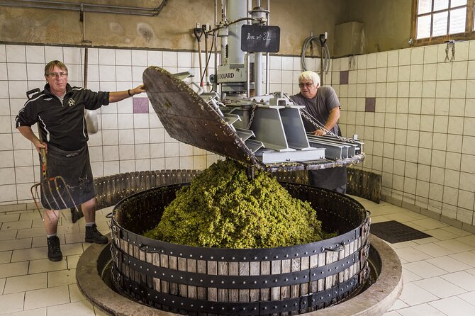 Private Champagne Day Trip to Vineyards of Reims With French Lunch From Paris - Questions