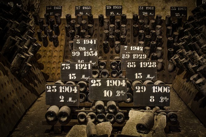 Private Champagne Day Trip to Vineyards of Reims With French Lunch From Paris - The Sum Up