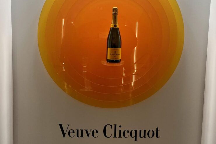 Private Champagne Grand Vintage Taittinger, Veuve Clicquot - Tour Overview