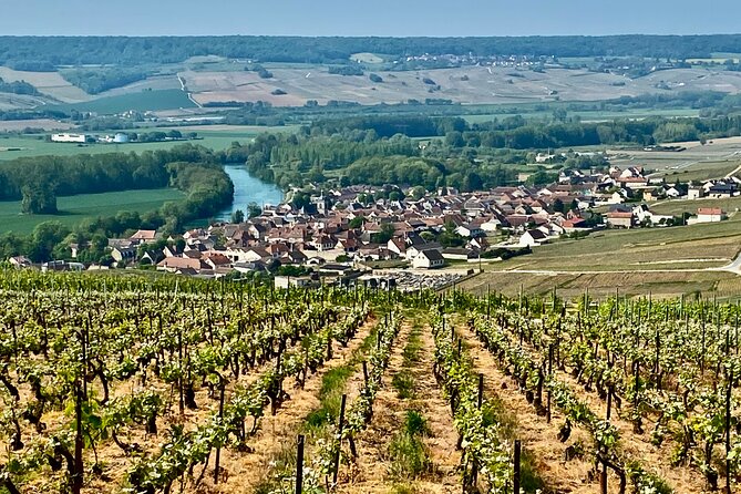 Private Champagne Moët & Chandon Nicolas Feuillatte Day Trip - The Sum Up