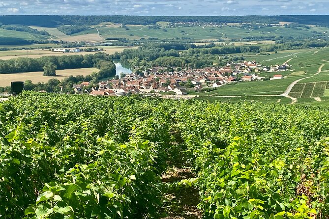 Private Champagne Moët & Chandon — Pommery — Pressoria From Paris - Exclusive Access to Moët & Chandon