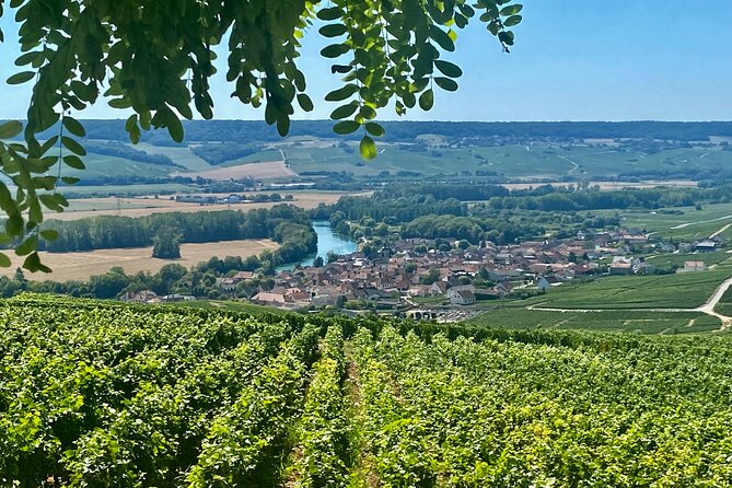 Private Champagne Moët & Chandon, Veuve Clicquot Trip From Paris - Reservation and Cancellation Policy