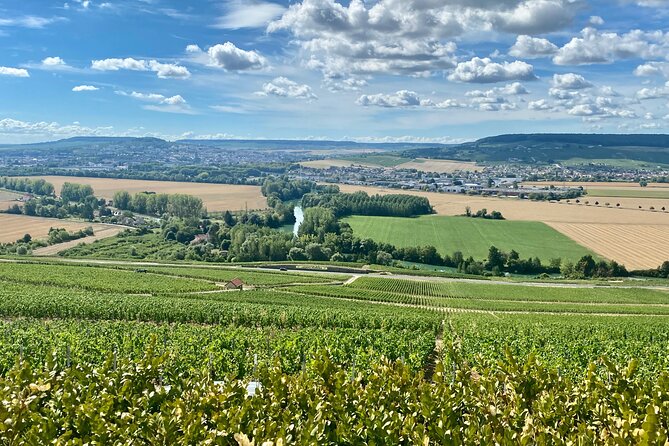 Private Champagne Moët & Chandon, Veuve Clicquot Trip With Lunch - Pricing and Booking Details