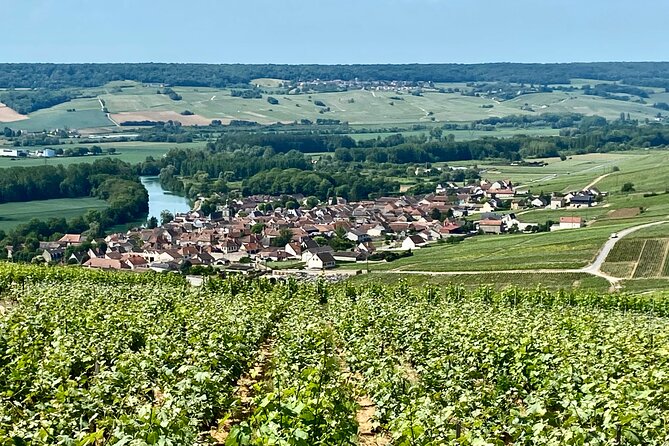 Private Champagne Pommery and Ayala Cellars Tastings Guided Tours - Private Tour/Activity