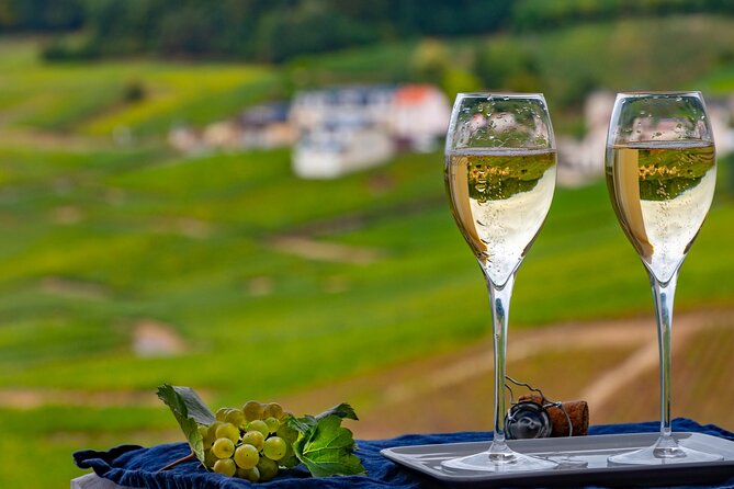 Private Champagne Region Wine Tour Experience From Reims - The Sum Up