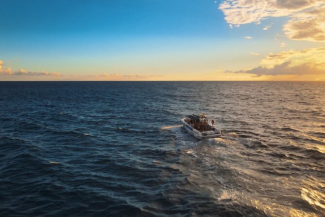 Private Charter 3 Hours Whale Encounter Puerto Colon Adeje - Cancellation Policy