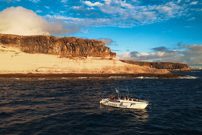 Private Charter 3 Hours Whale Encounter Puerto Colon Adeje - Additional Details