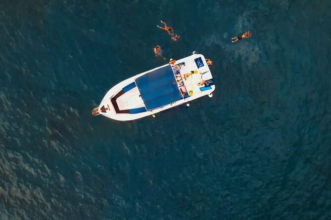 Private Charter 3 Hours Whale Encounter Puerto Colon Adeje - Traveler Photos