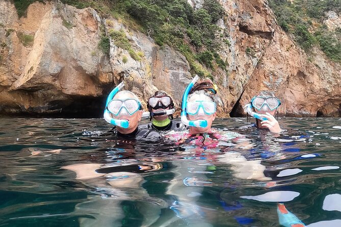 Private Charter 5 Hour Snorkel and Paddleboard the Poor Knights - 1 to 12 People - Tour Overview