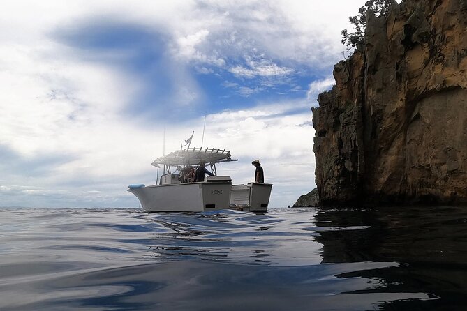 Private Charter 5 Hour Snorkel and Paddleboard the Poor Knights - 1 to 12 People - Inclusions