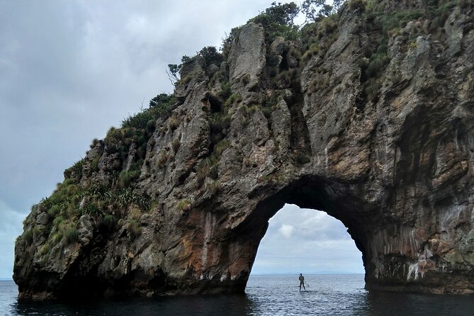 Private Charter 8 Hour Combo: Poor Knights Snorkel and Paddleboard With Fishing - Important Information and Booking Details