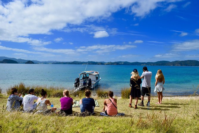 Private Charter - Bay of Islands Cruise & Island Tour - Overview