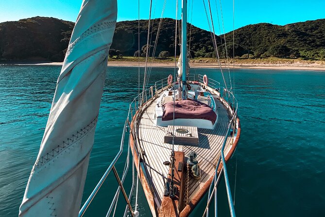 Private Charter Bay of Islands - Charter Details