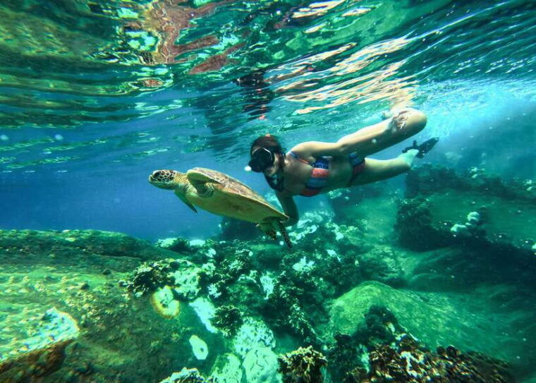 Private Charter Boat Around Koh Tao Snorkel Paradise - Customer Reviews