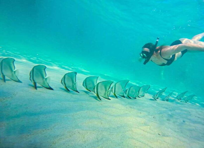 Private Charter Boat Around Koh Tao Snorkel Paradise - Snorkeling Experiences