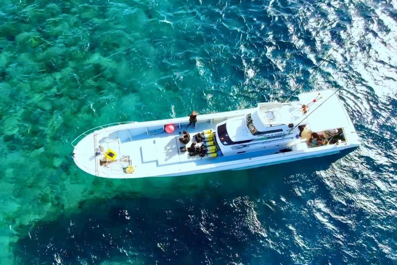 Private Charter Boat Fishing & Trolling Experience in Okinawa - Heat, seasickness, and the small details that matter