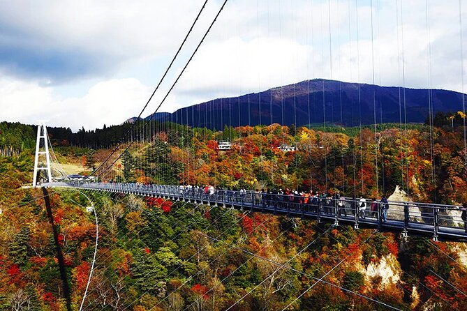 Private Charter Bus 8 Days Tour From Kyushu to Kobe via Shikoku - The Sum Up