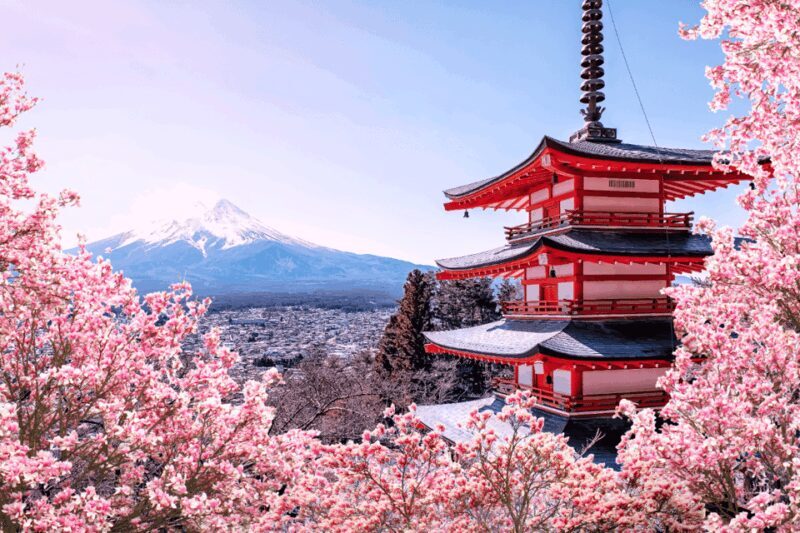 Private charter car one day trip for Mt fuji - Who Is This Tour Best For?