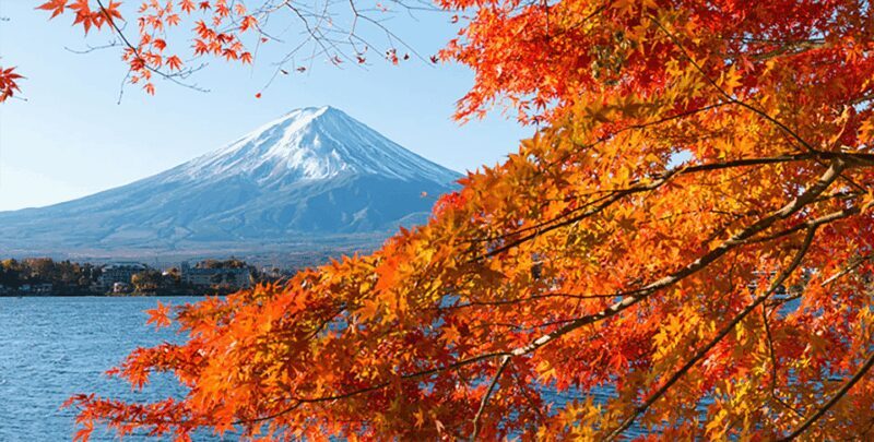 Private charter car one day trip for Mt fuji - The Sum Up