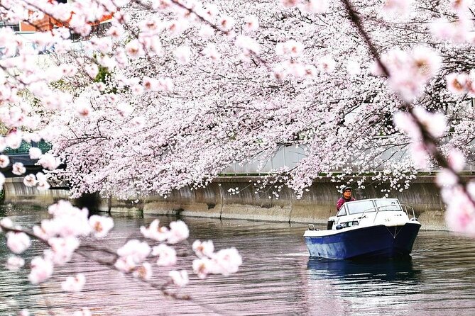 Private Charter Cruise Adventure in Tokyo Bay - Directions