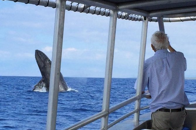 Private Charter: Customizable Big Island Boat Adventure - Pricing and Booking Information