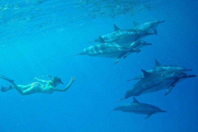 Private Charter: Customizable Big Island Boat Adventure - Professional Captain and Guide