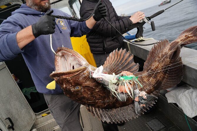 Private Charter Fishing - Full Port Time for Cruise Ship Guests - Good To Know  