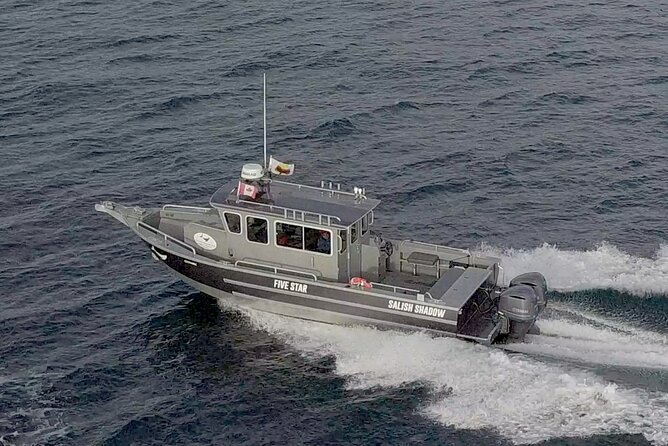 Private Charter - Marine Adventure and Whale Watching - Inclusions