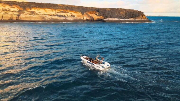 Private Charter Private Charter to See the Whales - 2 Hours - Common Questions