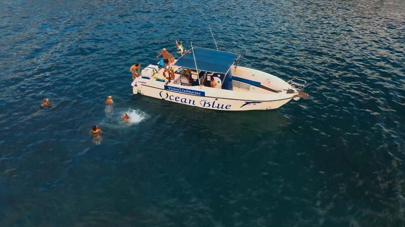 Private Charter Private Charter to see the whales - 3 Hours - A Closer Look at the Private Whale Watching Experience in Tenerife