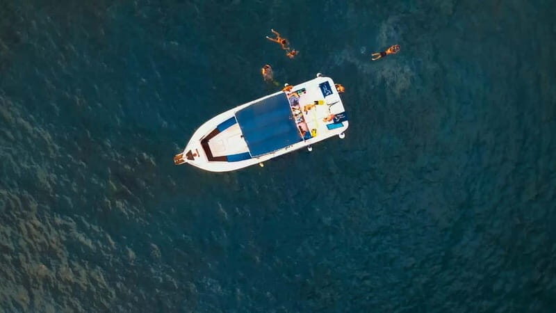 Private Charter Private Charter to see the whales - 3 Hours - Why Choose This Tour?