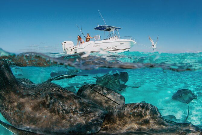 Private Charter Reef fishing, Stingray City, Snorkel, Mangroves - Why Choose This Tour?