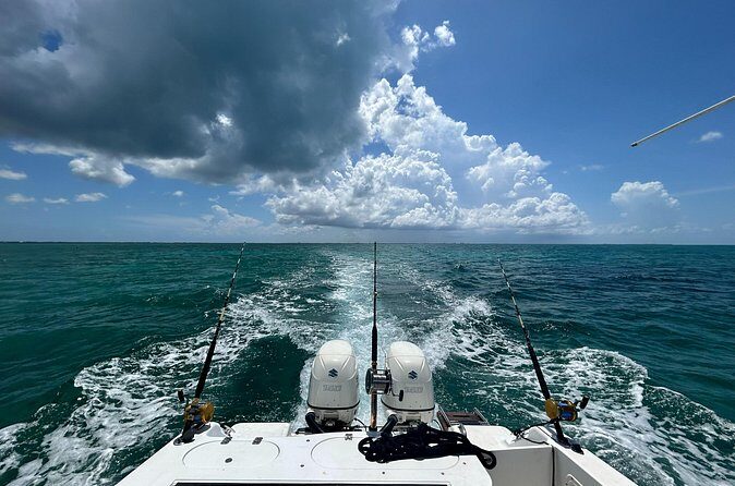 Private Charter Reef fishing, Stingray City, Snorkel, Mangroves - Who Is This Tour Best For?