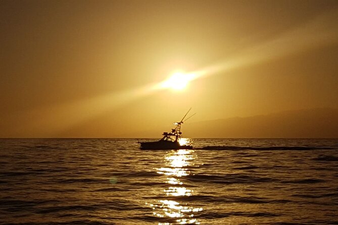 Private Charter Tour From Puerto Colón Tenerife - Tour Highlights