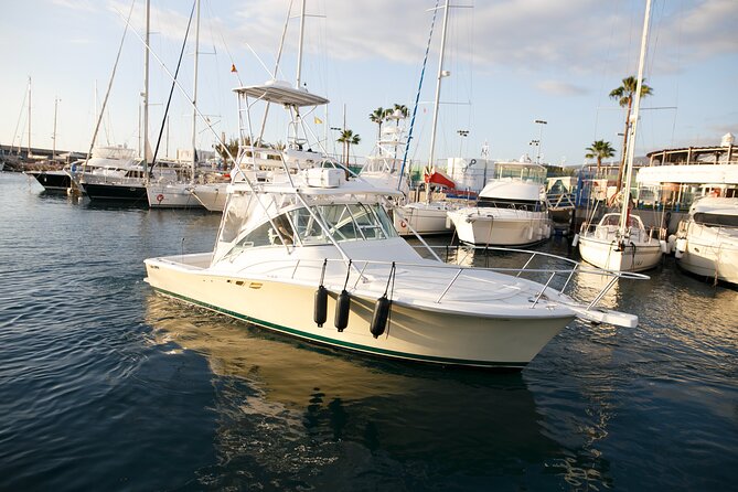 Private Charter Tour From Puerto Colón Tenerife - The Sum Up