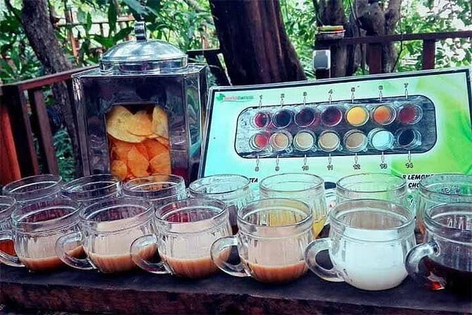 Private Chartered Car to Jatiluwih and Tanah Lot - The Itinerary: A Closer Look