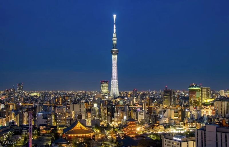 Private Chartered Car: Tokyo City to Tokyo Disneyland/Mount Fuji/Karuizawa/Nagano/Niigata and other areas - The useful details at a glance