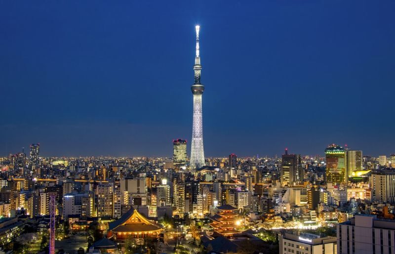 Private Chartered Car: Tokyo City to Tokyo Disneyland/Mount Fuji/Karuizawa/Nagano/Niigata and other areas - Should you book this Tokyo private transfer?