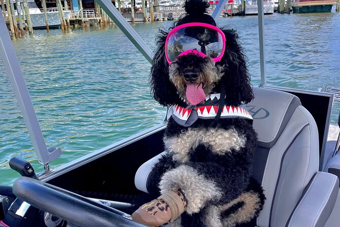 Private Chartered Luxury Pontoon Boat in Destin-Up to 6 Guests - Pricing and Booking Details