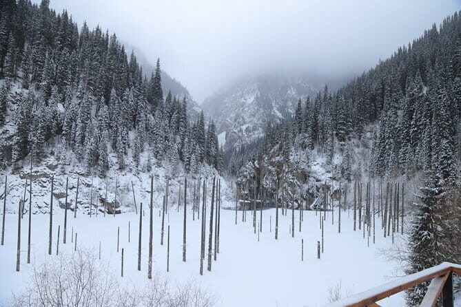 Private Charyn Canyon, Kolsai Lake with Optional Kaindy Lake tour - An In-Depth Look at the Tour